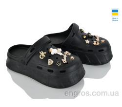 Кроксы Golden Lion